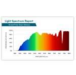 Gafas ScreenTime – Oscar Tortoise - Imagen 6