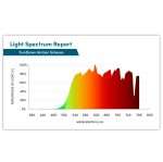 Gafas SunDown - ELTON GOLD - Imagen 8