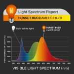 Ampolleta naranja sin luz azul - SUNSET BULB - Imagen 3