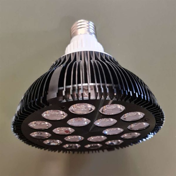 vista superior carrusel