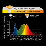 Ampolleta naranja sin luz azul - SUNSET SPOT - Imagen 3